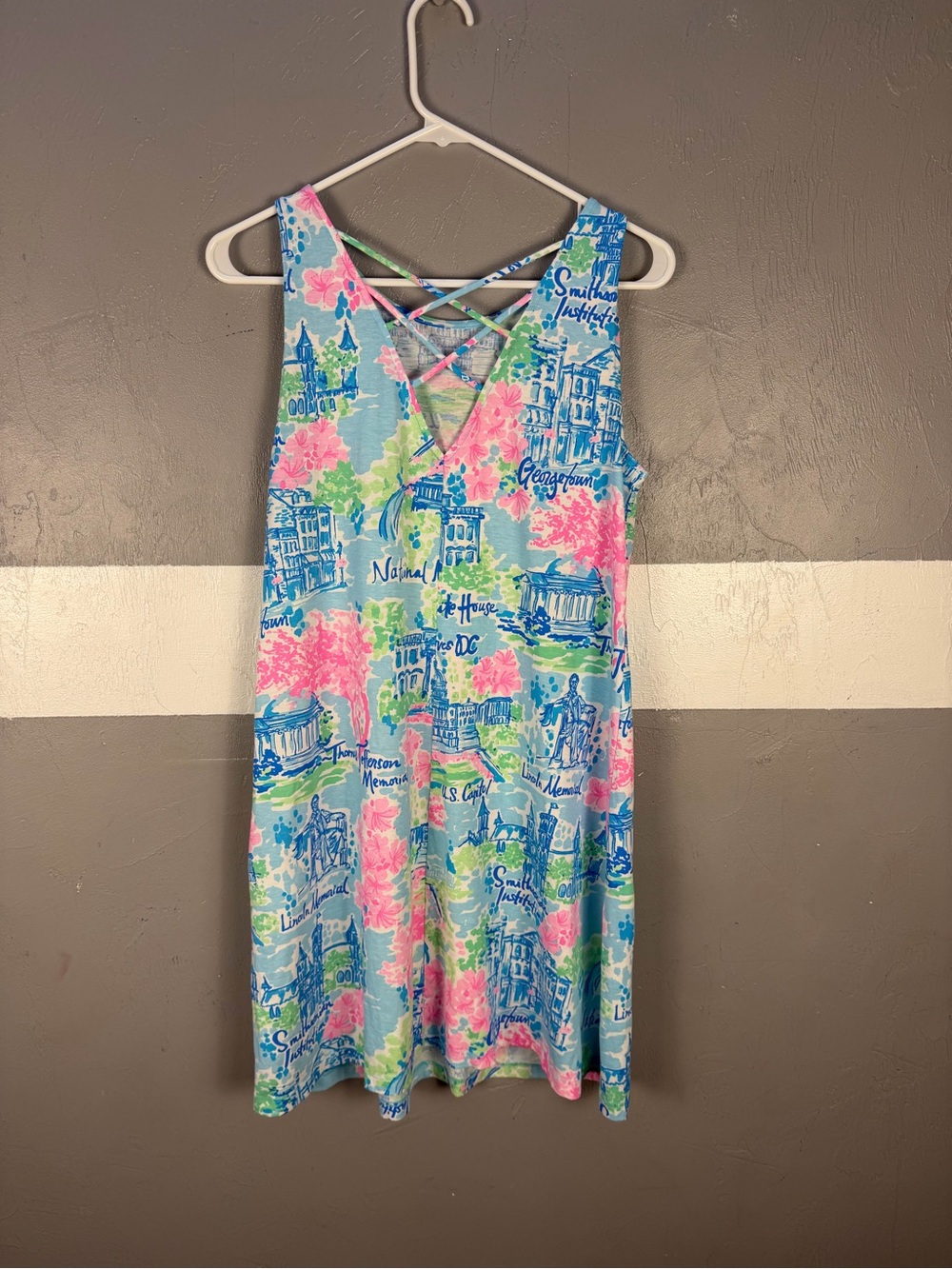 Lilly Pulitzer Lilly Loves DC Kristen Swing Dress Small Blue & Pink - Picture 3 of 9